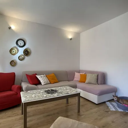 Igor Apartman *